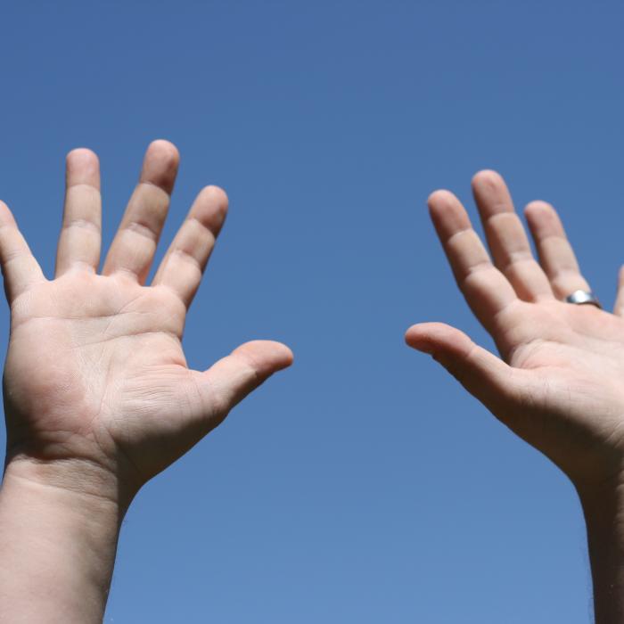 Zu sehen sind zwei ausgestreckte Hände, die symbolisch für das Bremer 5-Stimmwahlrecht stehen sollen.