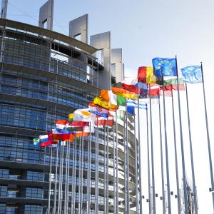 Zu sehen sind die Flaggen der Europäischen Mitgliedsstaaten vor dem Europa Parlament